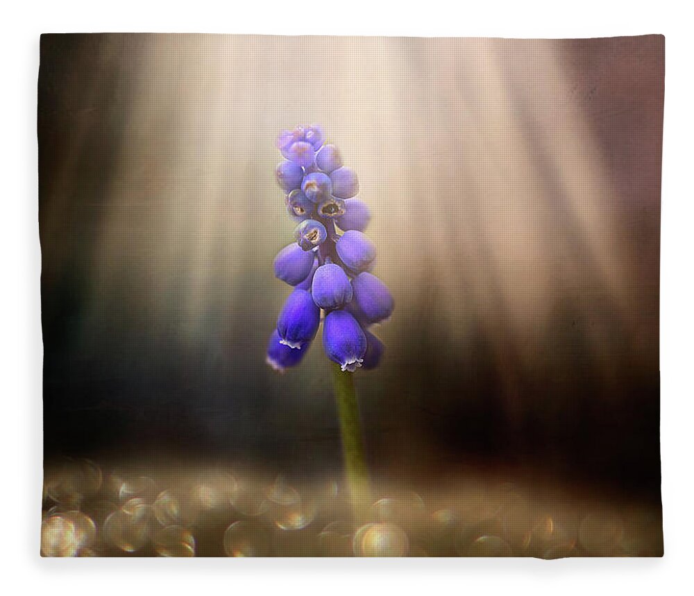 Blue Grape Hyacinth Print Fleece Blanket featuring the photograph Blue Grape Hyacinth Print by Gwen Gibson