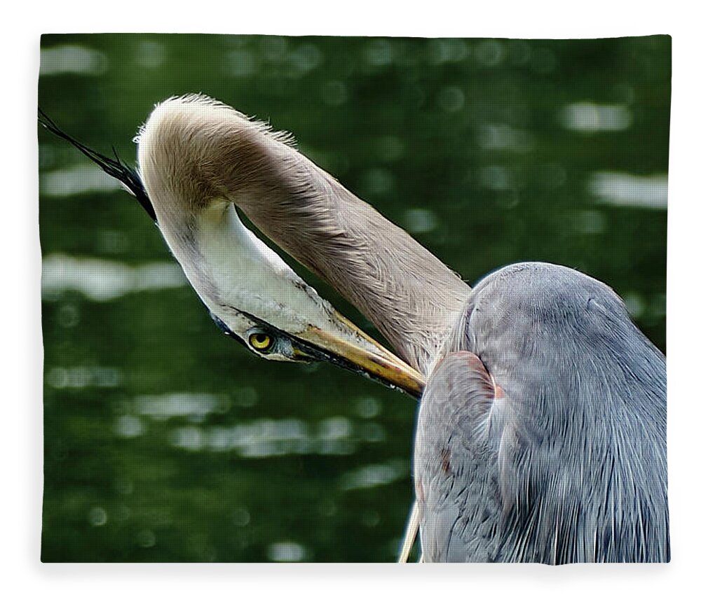 Grand Héron Fleece Blanket featuring the photograph Blue heron close up by Carl Marceau