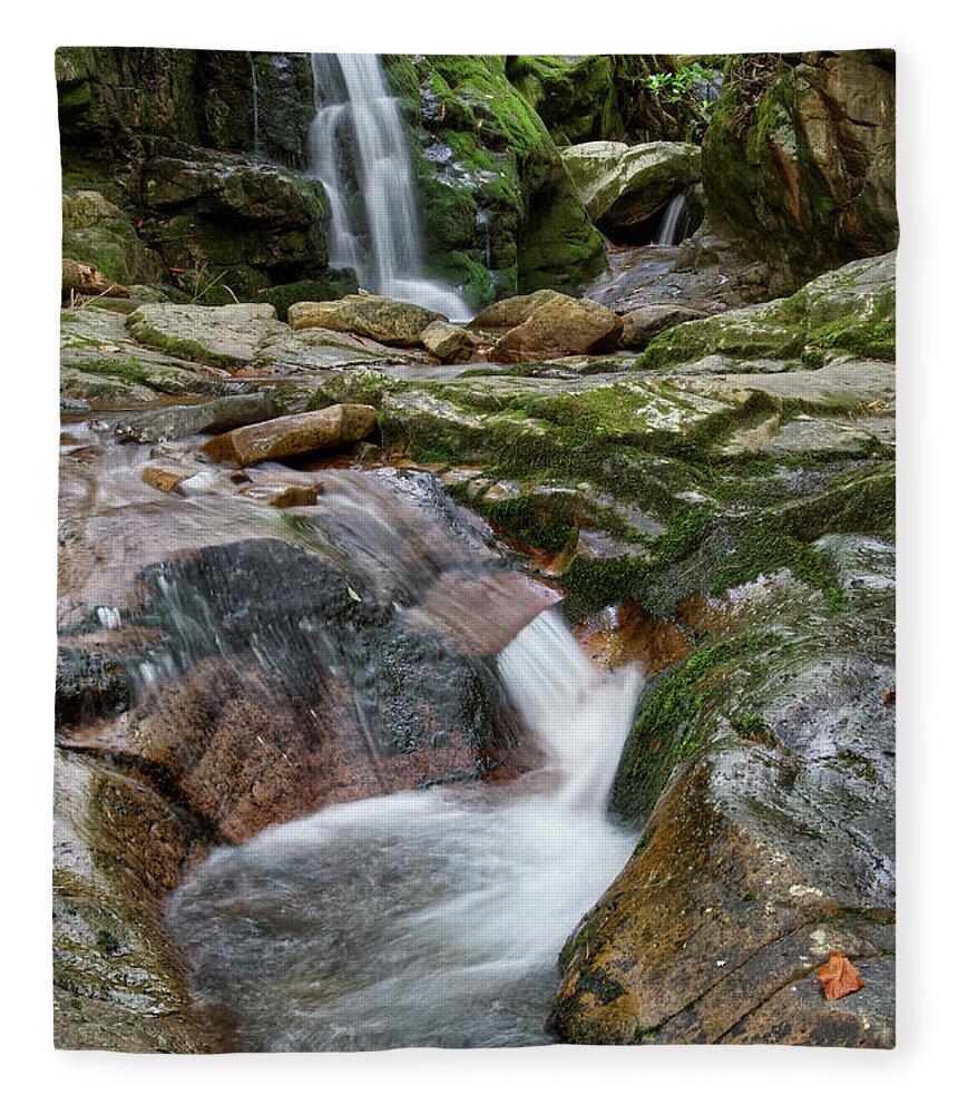 Nature Fleece Blanket featuring the photograph Blue Hole Falls 15 by Phil Perkins