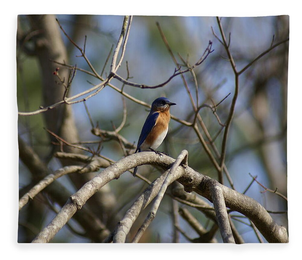  Fleece Blanket featuring the photograph Blue Lookout by Heather E Harman