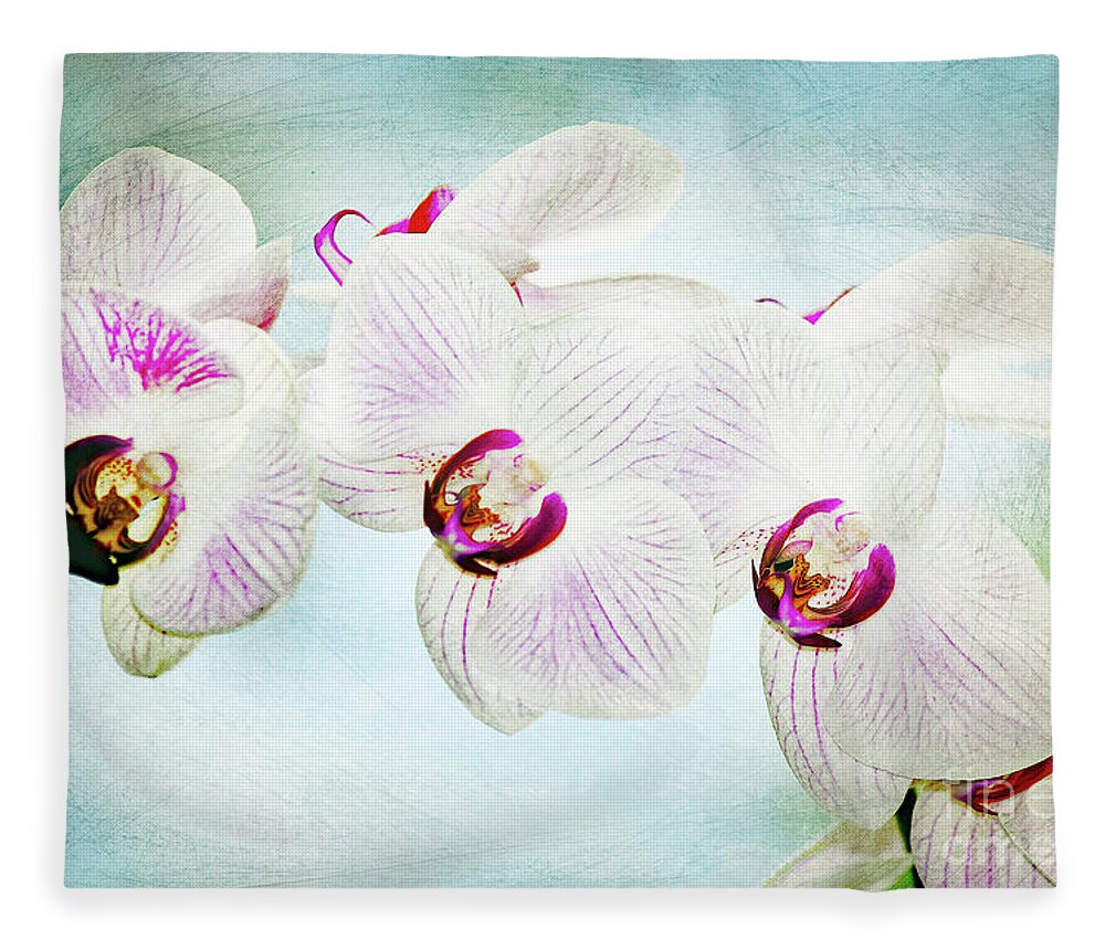 Orchid; Orchids; Purple Orchid; Purple Orchids; Flower; Purple; Purple Flower; Photography; Digital Art; Flowers; Floral; Flora; Digital Art; Photography; Blue; Green; Simple; Decorative; Décor; Macro; Close-up Fleece Blanket featuring the photograph Blue Orchid Arch by Tina Uihlein