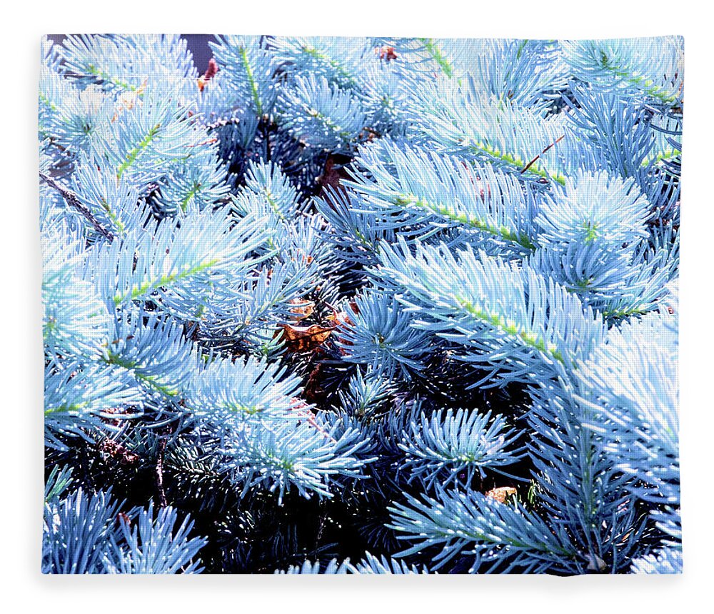 Art Fleece Blanket featuring the photograph Blue Pine Needles by David Desautel