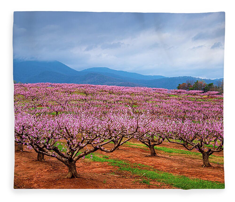 Outdoors Fleece Blanket featuring the photograph Blue Ridge Mountains South Carolina Peach Fields Forever by Robert Stephens