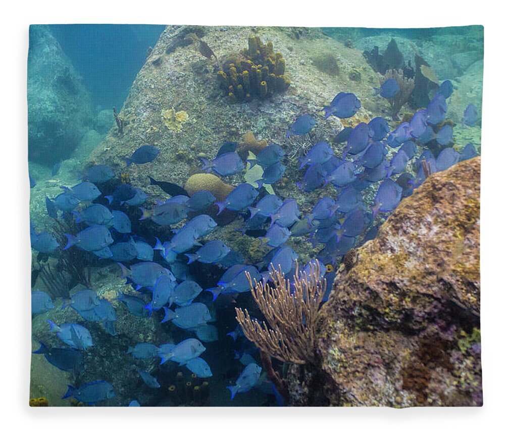 Ocean Fleece Blanket featuring the photograph Blue School by Lynne Browne