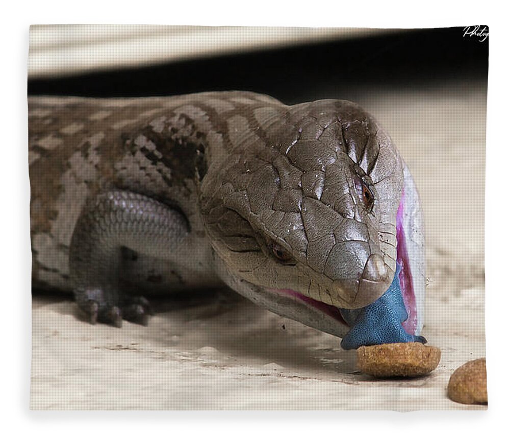 Blue Tongue Lizard Fleece Blanket featuring the digital art Blue tongue lizard 22 by Kevin Chippindall