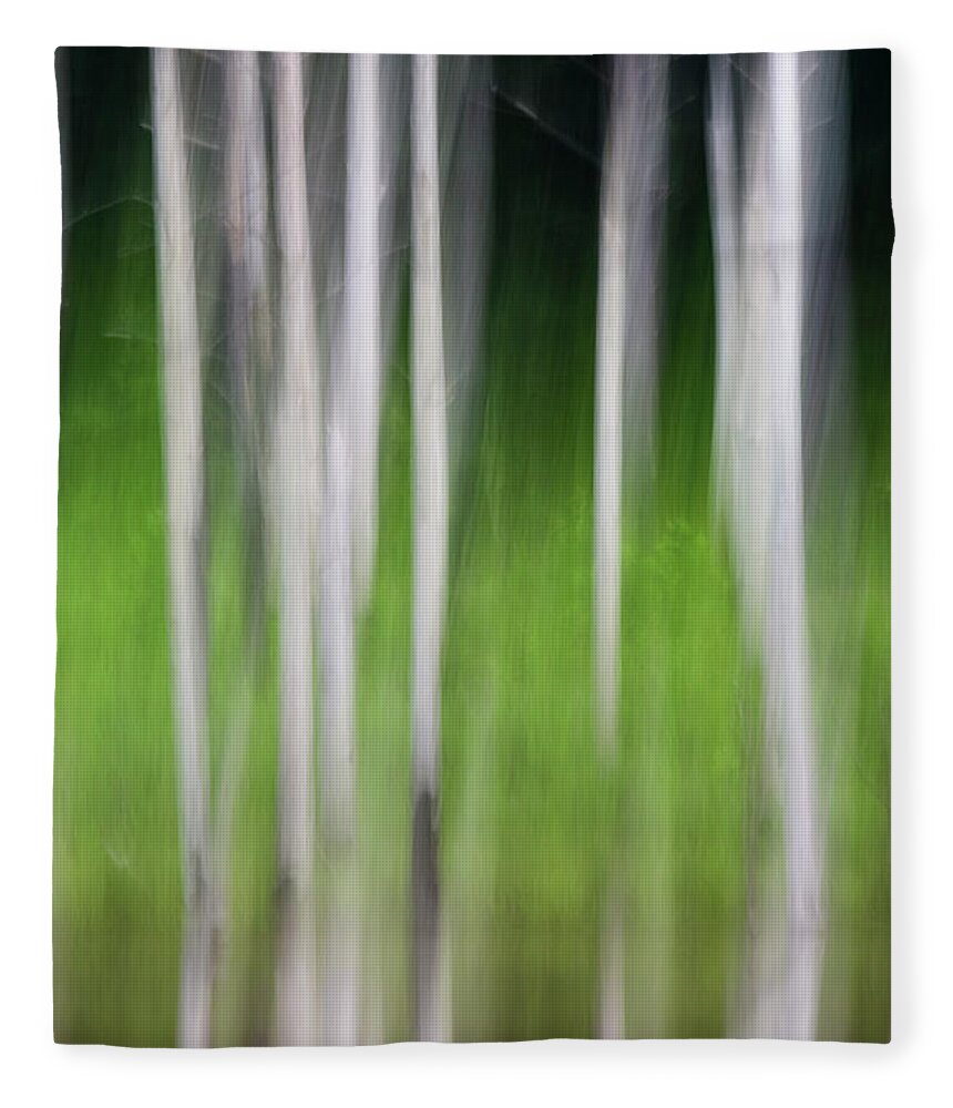 Jordan Lake Fleece Blanket featuring the photograph Blurred Reflection by Melissa Southern