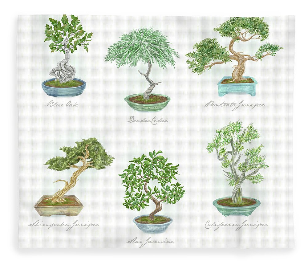 Bonsai Fleece Blanket featuring the mixed media Bonsai Trees by Shari Warren