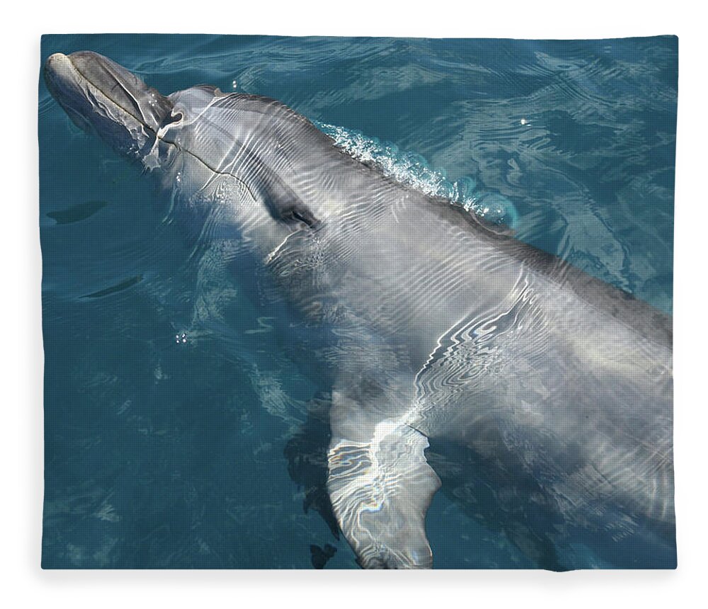 Animals Fleece Blanket featuring the photograph Bottlenose Dolphin riding on the Bow Wave by Maryse Jansen