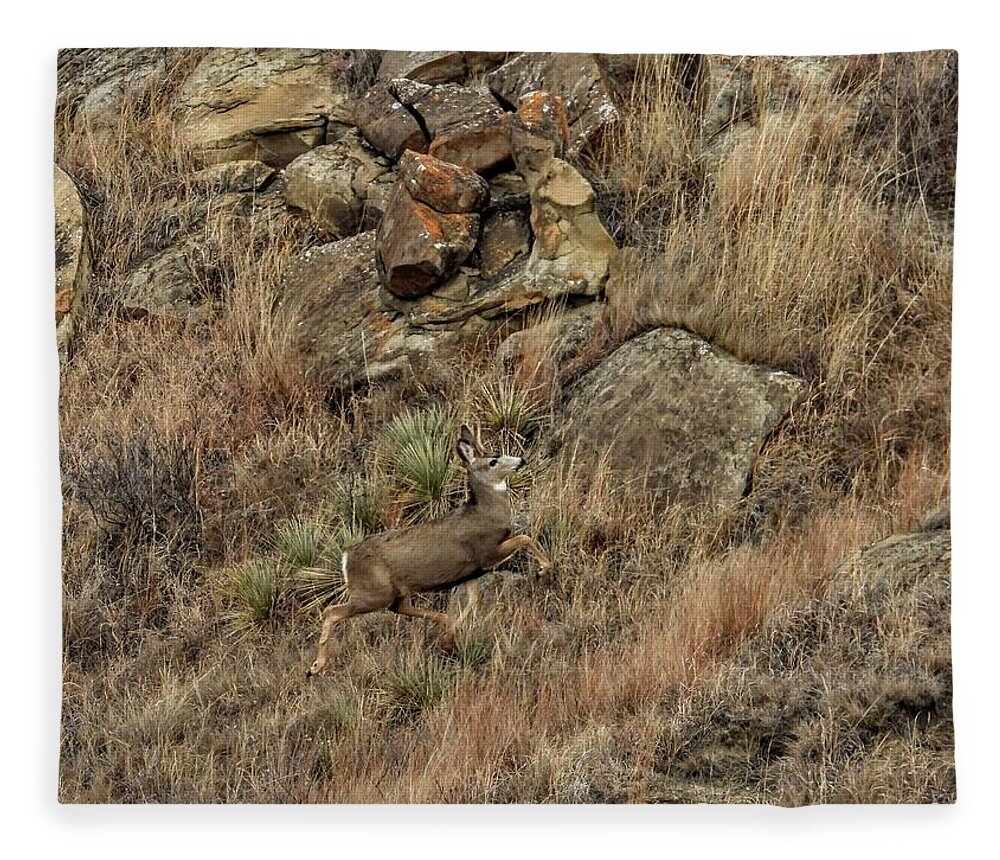 Mule Deer Fleece Blanket featuring the photograph Bounding Up The Hill by Amanda R Wright