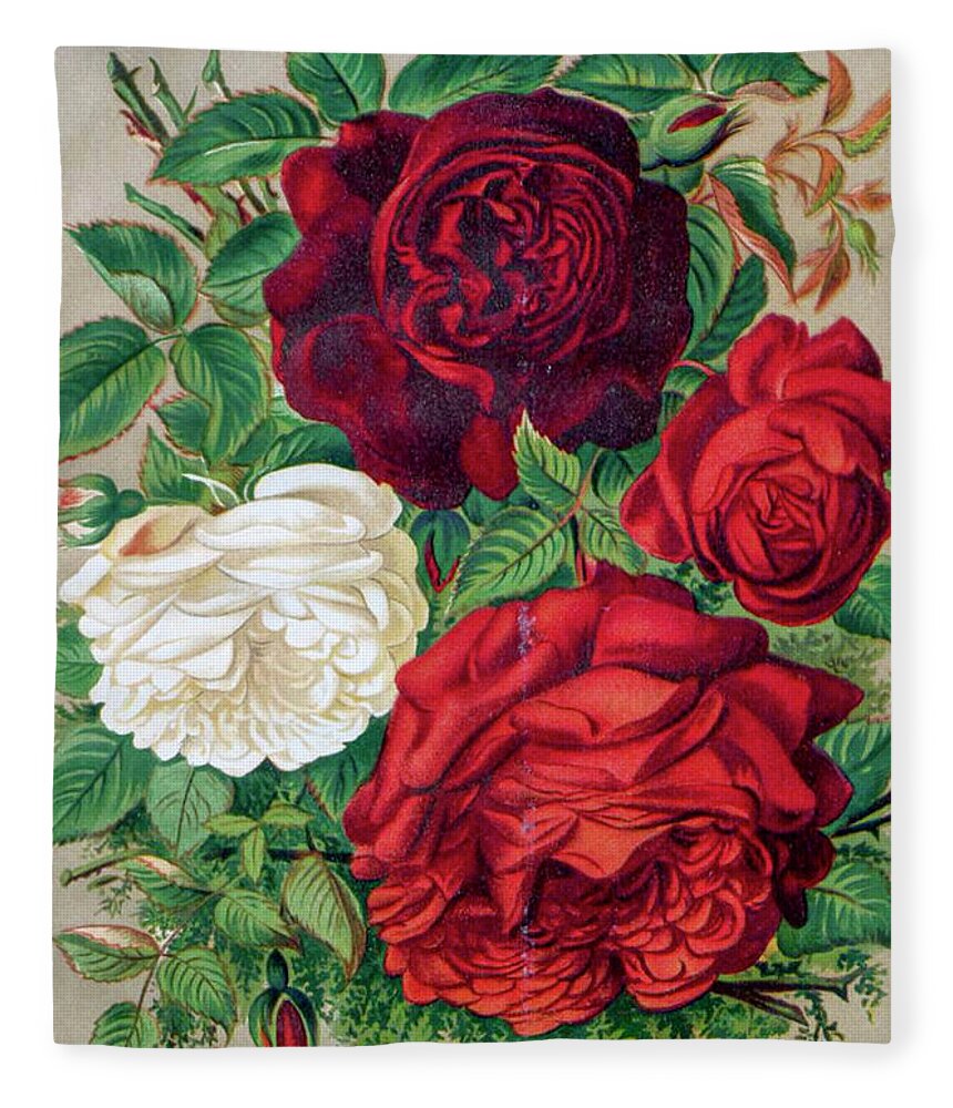 Red and white fleece blanket new arrivals