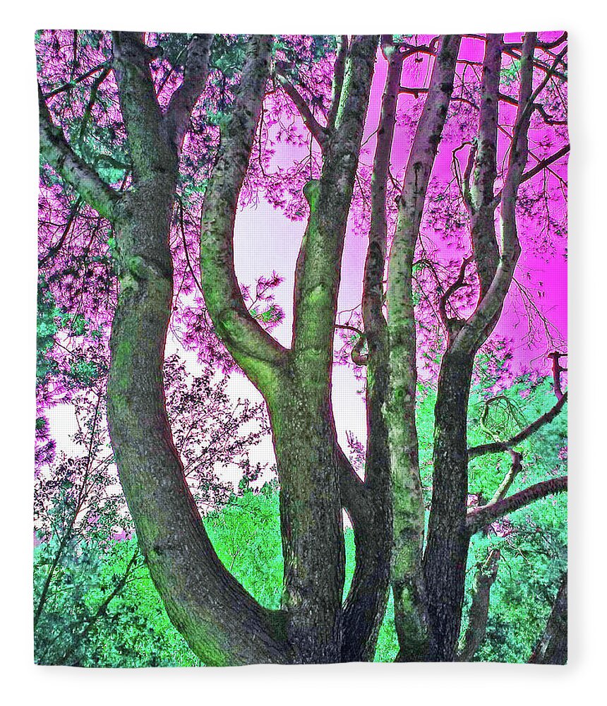 Tree Fleece Blanket featuring the photograph Branching Out by Andrew Lawrence