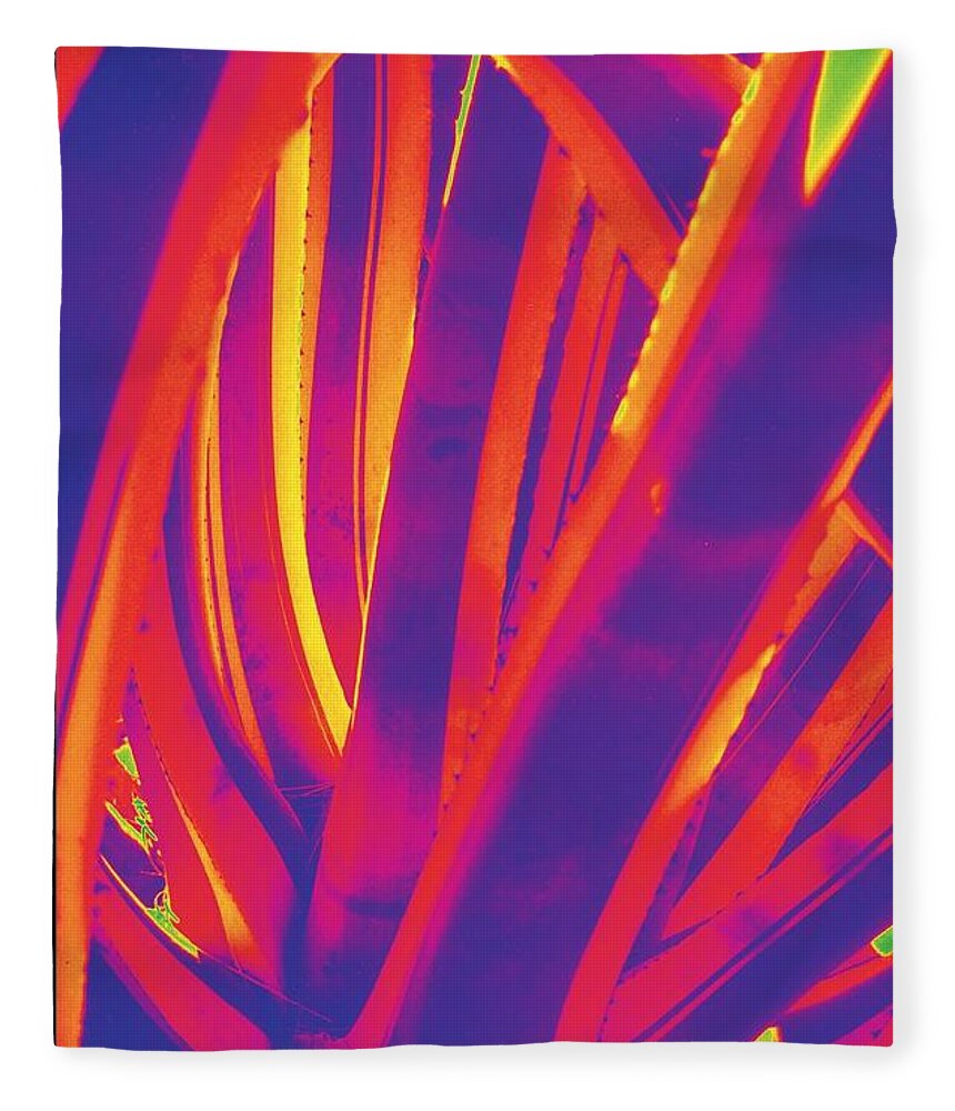 Cactus Fleece Blanket featuring the photograph Bright Cactus by Vivian Aumond