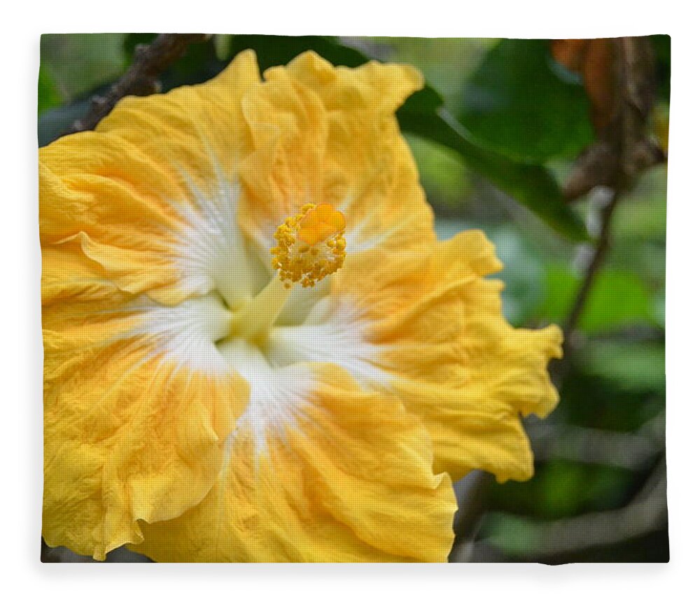 Flower Fleece Blanket featuring the photograph Bright Yellow White Hibiscus by Amy Fose