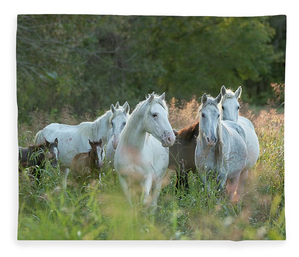 Broadfoot Fleece Blanket featuring the photograph Broadfoot at Sunset by Holly Ross