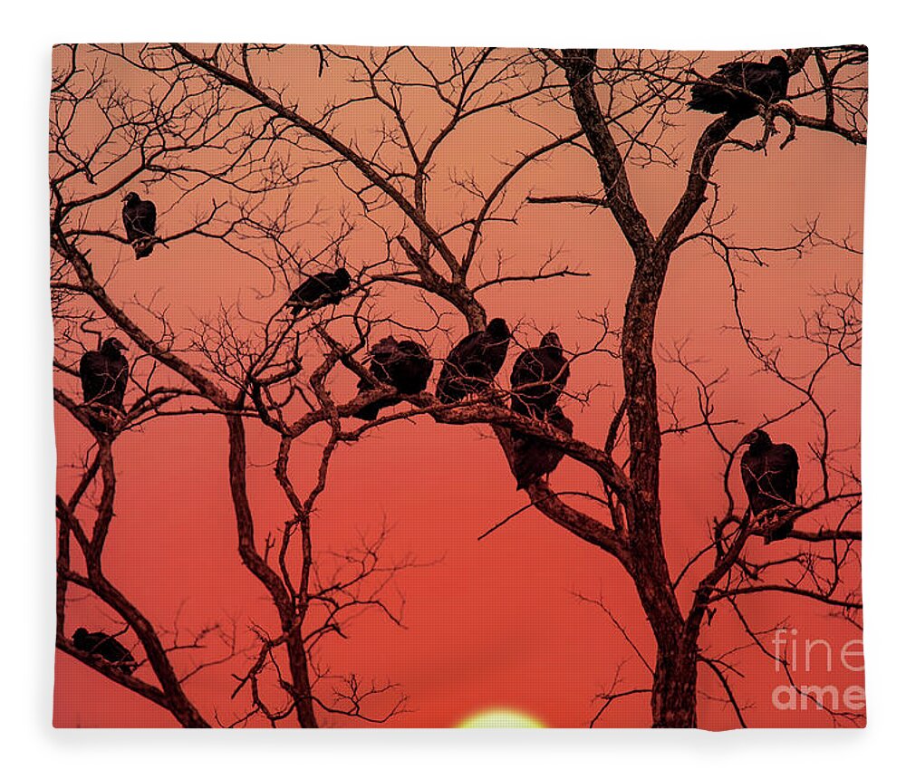 Silhouette Fleece Blanket featuring the photograph Brood of Turkey Vultures by Ed Taylor