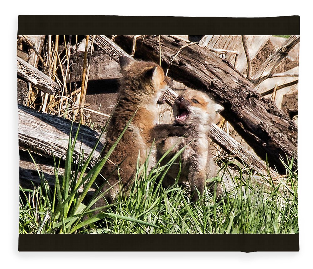 Fox Fleece Blanket featuring the photograph Brotherly Love by Joe Granita