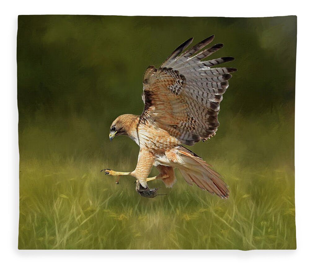 Red Tailed Hawk Fleece Blanket featuring the photograph Brunch by Donna Kennedy
