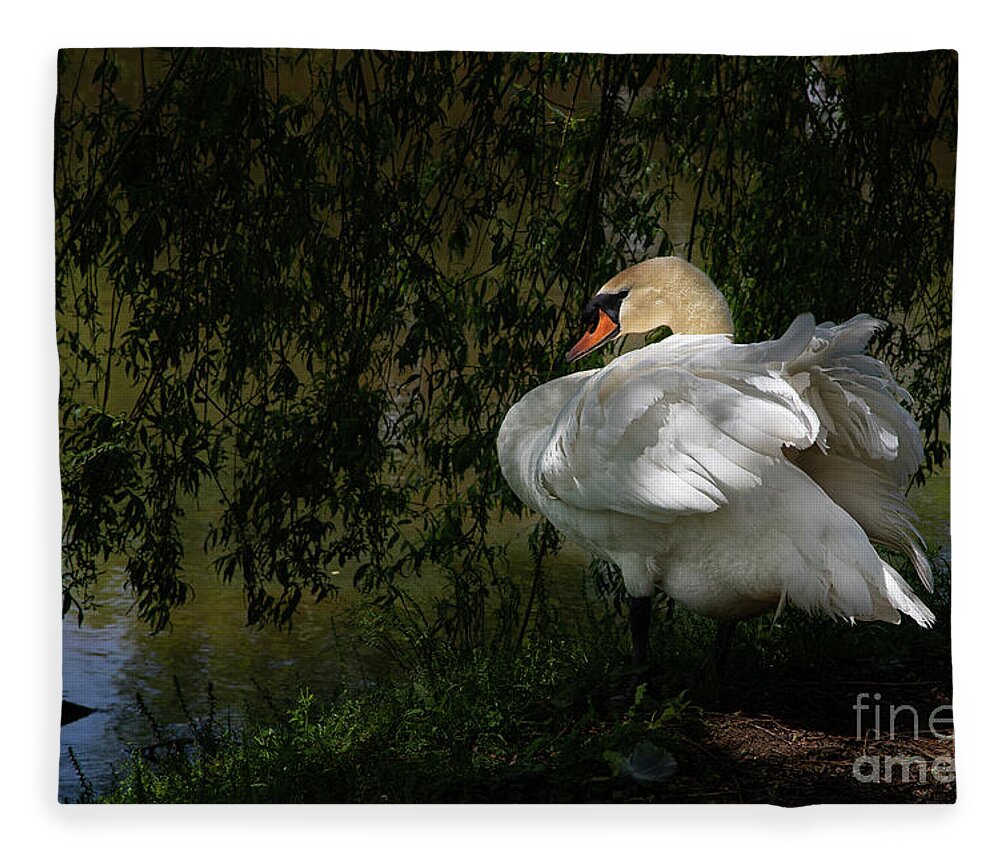 Whistling Gardens Fleece Blanket featuring the photograph Brutus on the Bank by Marilyn Cornwell