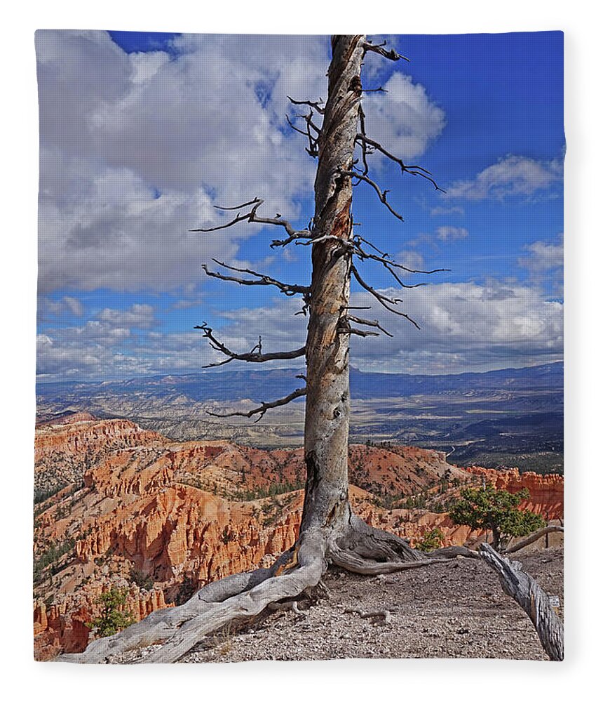 Bryce Canyon National Park Fleece Blanket featuring the photograph Bryce Canyon National Park - Still standing by Yvonne Jasinski