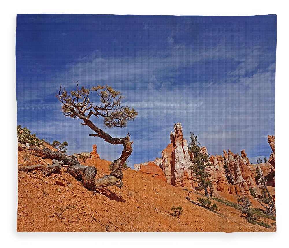 Bryce Canyon National Park Fleece Blanket featuring the photograph Bryce Canyon National Park - Shaped by the Wind by Yvonne Jasinski