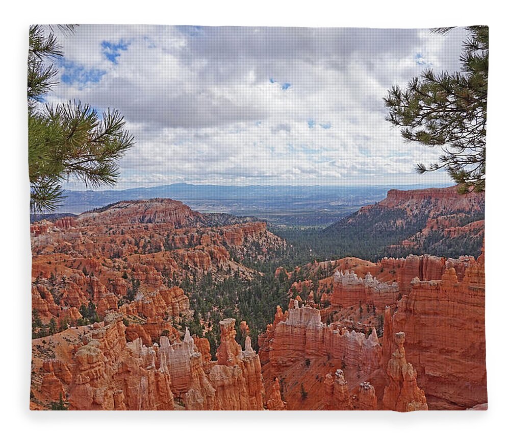 Bryce Canyon National Park Fleece Blanket featuring the photograph Bryce Canyon National Park - Panorama with Branches by Yvonne Jasinski