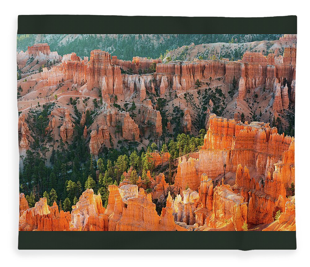 Wall Of Windows Fleece Blanket featuring the photograph Bryce Morning Glow by Ron Long Ltd Photography