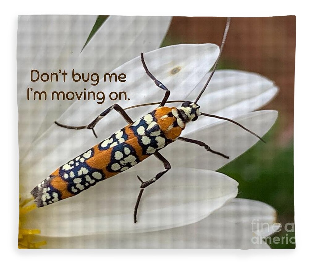 Daisy Fleece Blanket featuring the photograph Bug Destiny by Catherine Wilson