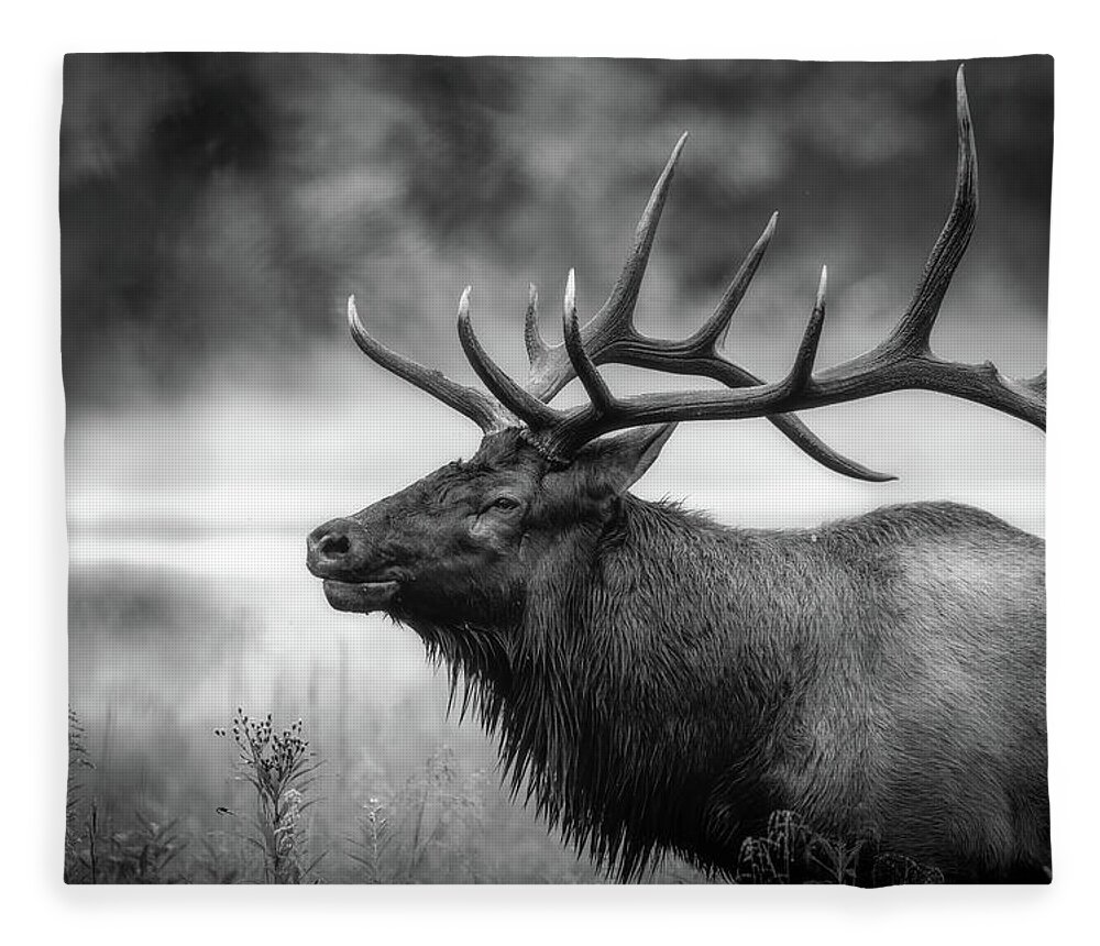 Great Smoky Mountains National Park Fleece Blanket featuring the photograph Bull Elk in Rut by Robert J Wagner