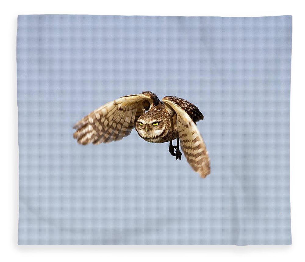 Owl Fleece Blanket featuring the photograph Burrowing Owl Makes a Serious Flight by Tony Hake