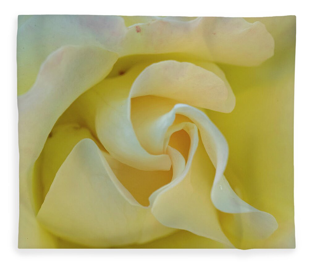 Rose Fleece Blanket featuring the photograph Butter Cream by Cathy Kovarik