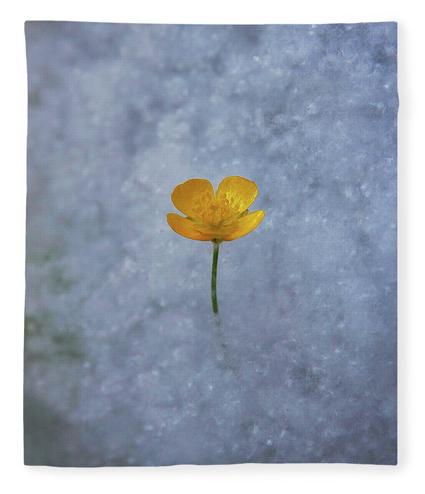 Buttercup Fleece Blanket featuring the photograph Buttercup by Ryan Workman Photography