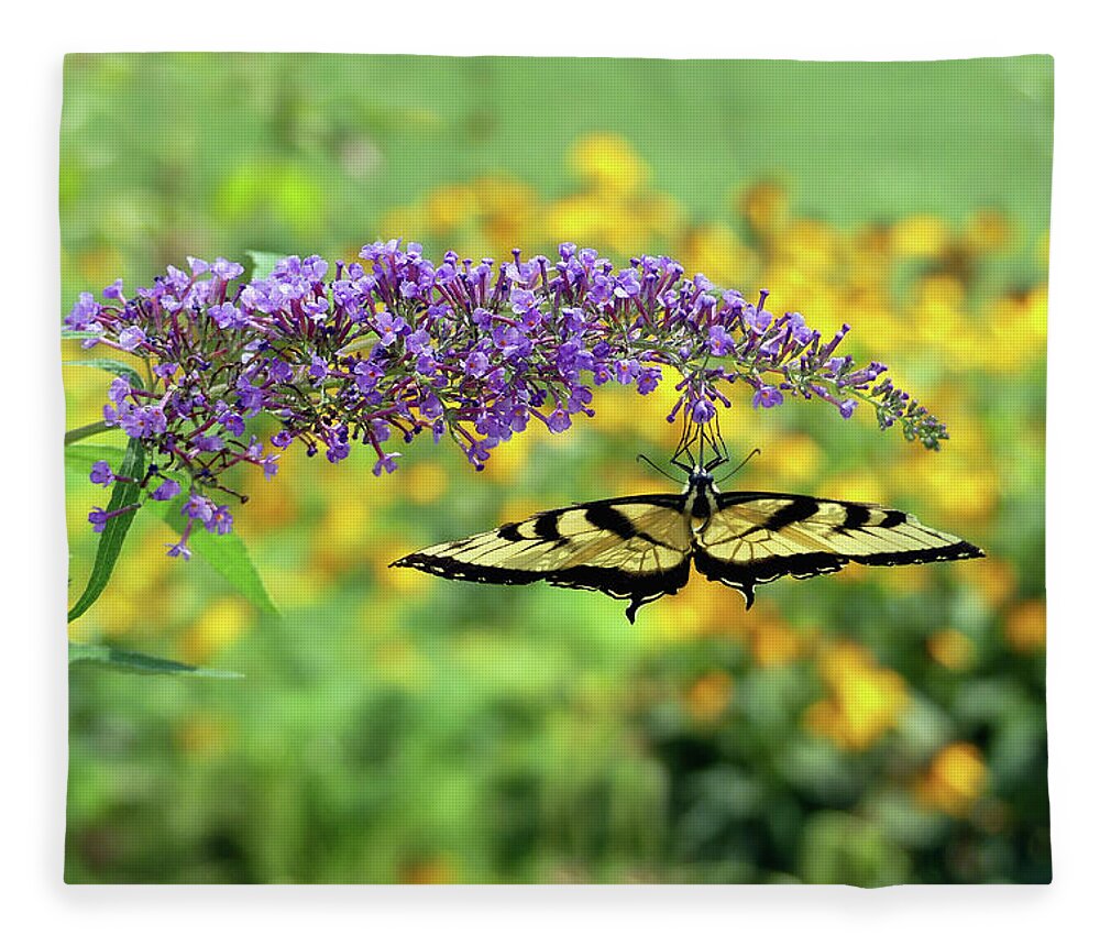 Butterfly Fleece Blanket featuring the photograph Butterfly Bungalow Swallowtail by Amy Dundon