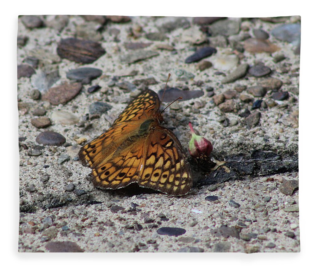 Butterfly Fleece Blanket featuring the photograph Butterfly on the Sidewalk by Christopher Reed