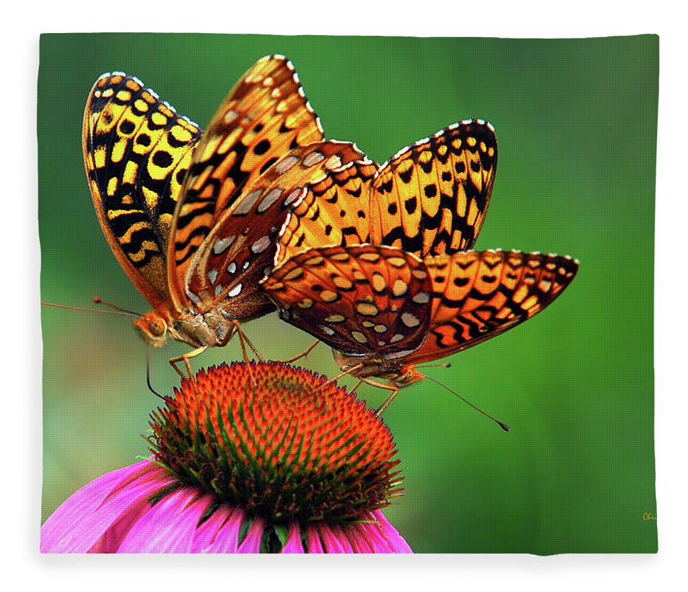 Butterfly Fleece Blanket featuring the photograph Butterfly Twins by Christina Rollo