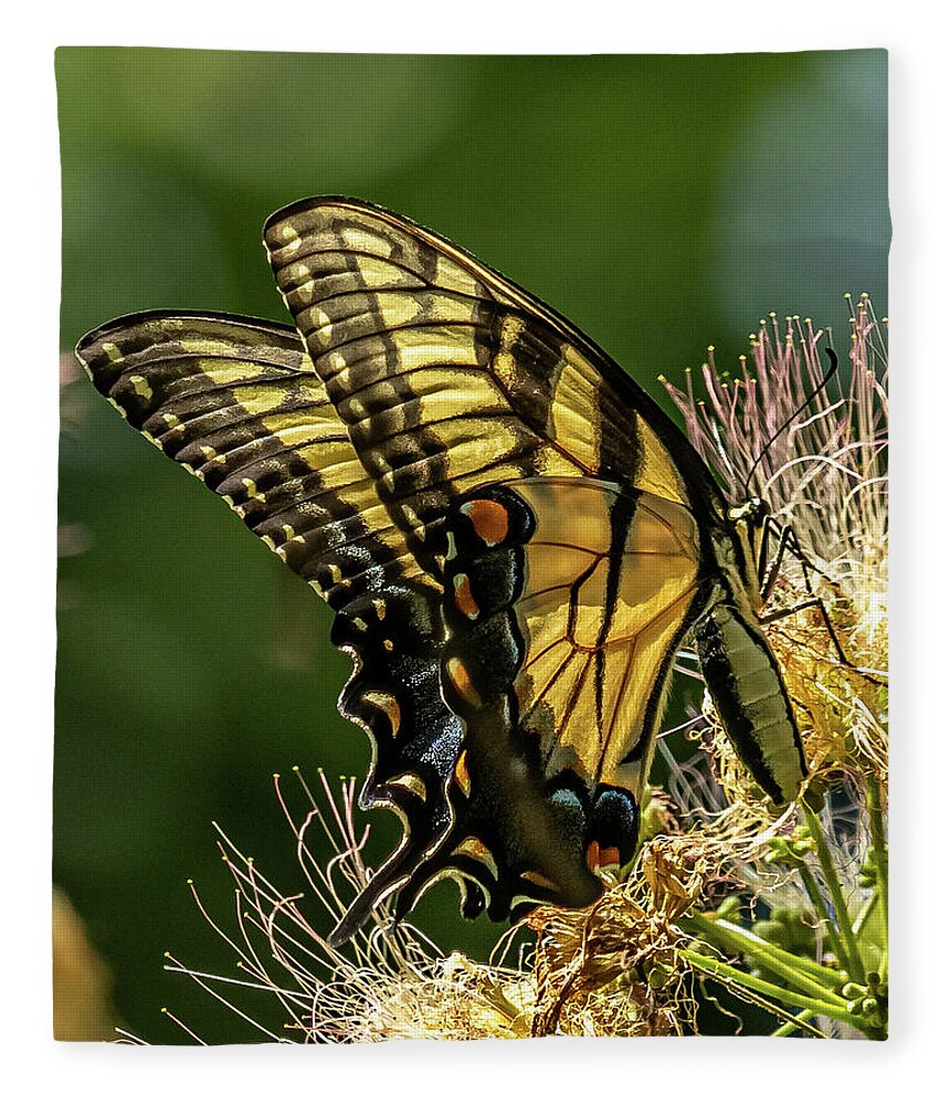 Eastern Tiger Swallowtail Butterfly Fleece Blanket featuring the photograph Butterfly Wings by Rick Nelson