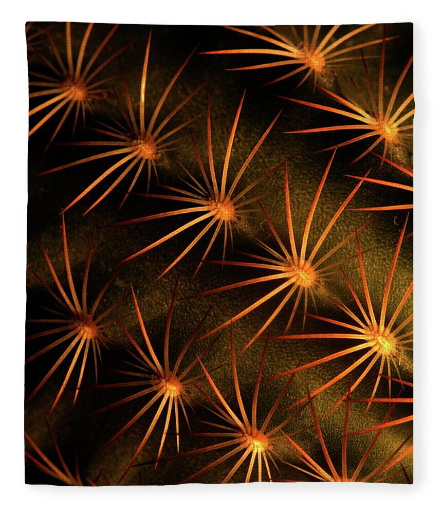  Fleece Blanket featuring the photograph Cactus 9519 by Julie Powell