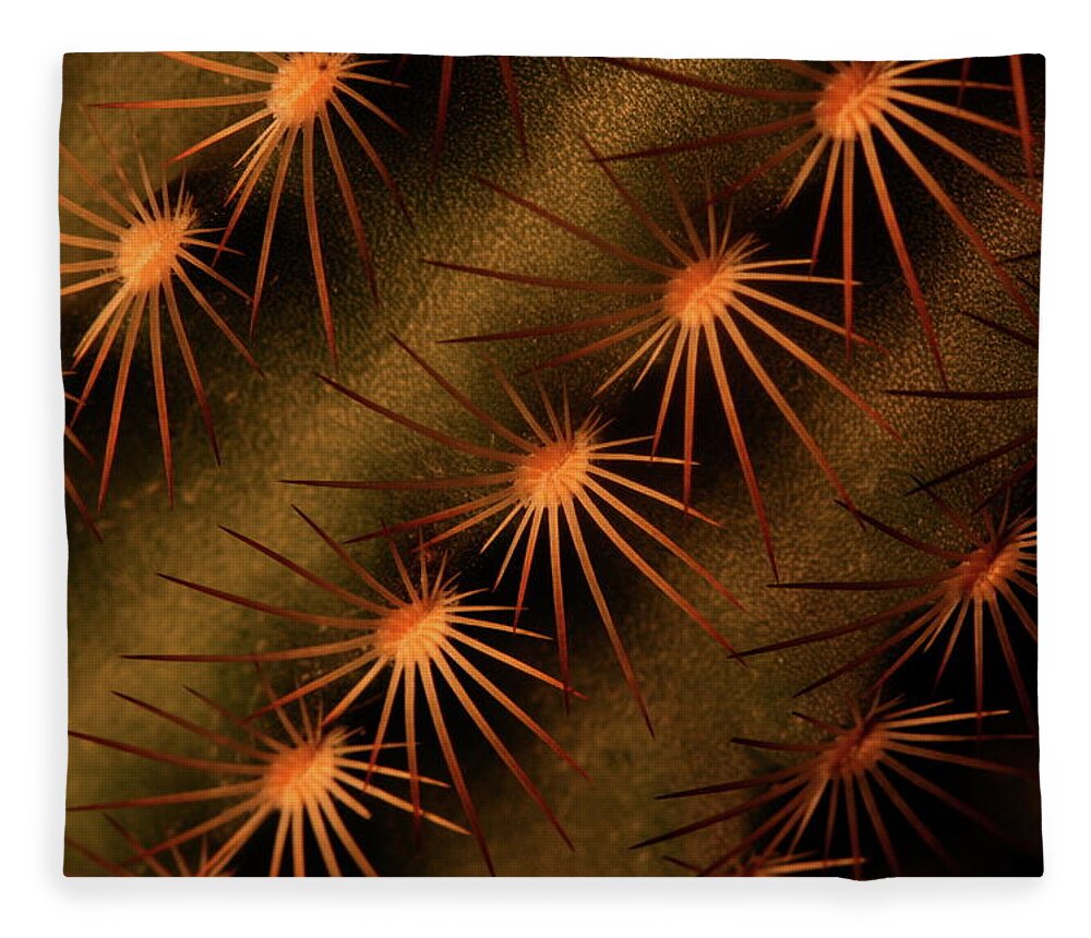Art Fleece Blanket featuring the photograph Cactus 9521 by Julie Powell