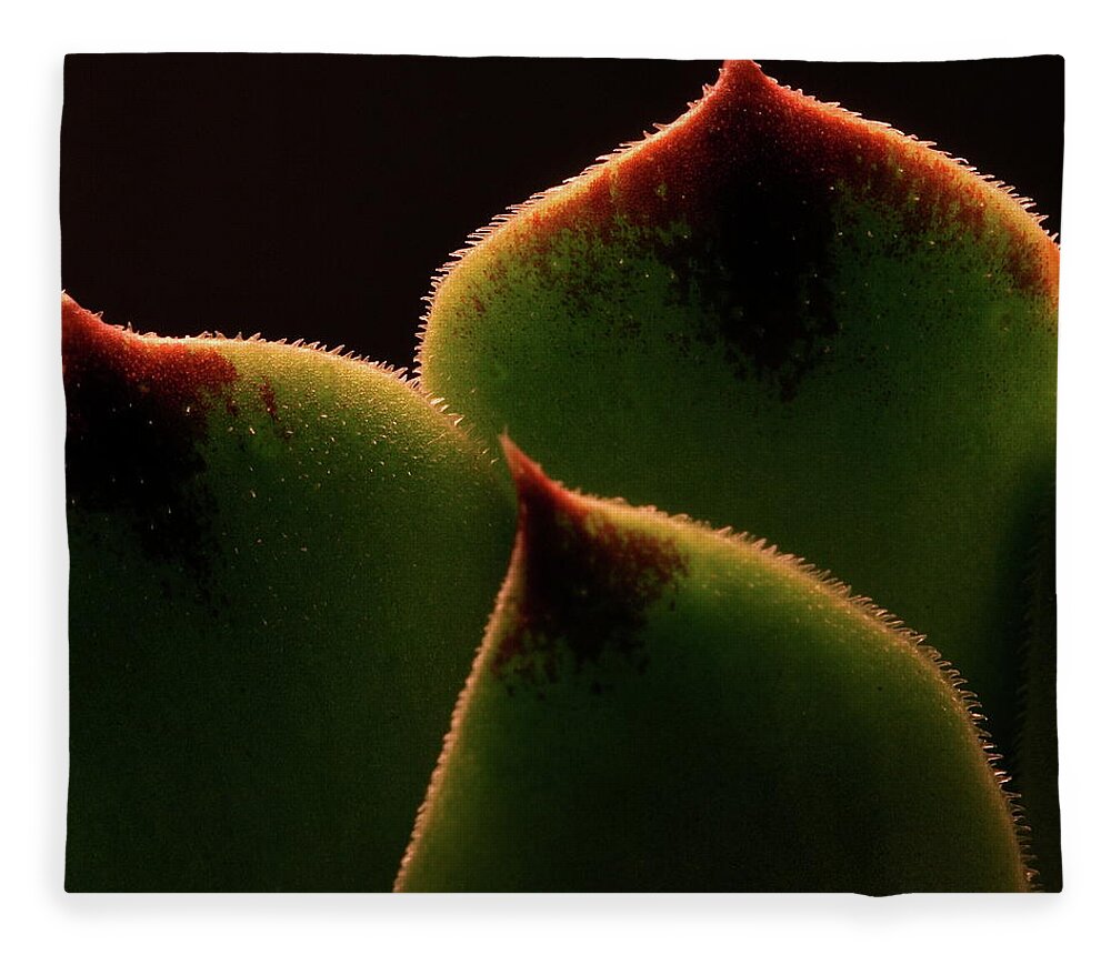 Macro Fleece Blanket featuring the photograph Cactus 9609 by Julie Powell
