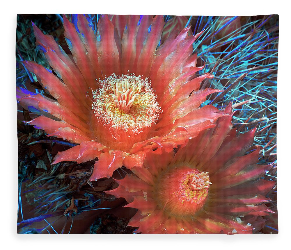 Flower Fleece Blanket featuring the photograph Cactus Flower Infrared by Martin Konopacki