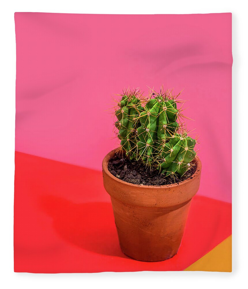 Cactus Fleece Blanket featuring the photograph Cactus on bright red, pink and orange background by Jelena Jovanovic