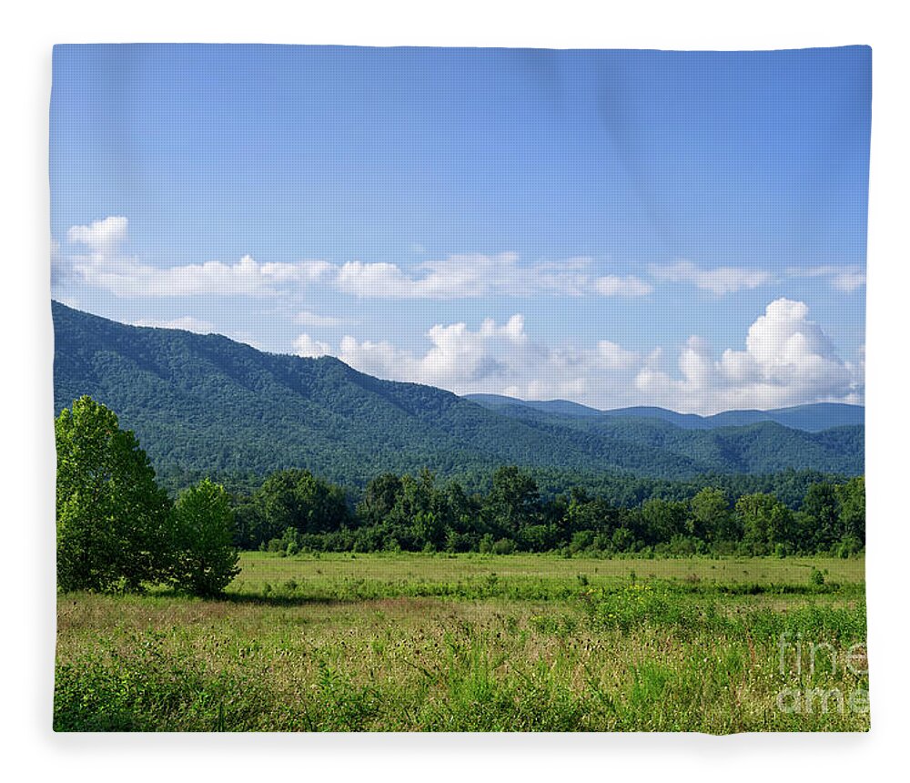 Tennessee Fleece Blanket featuring the photograph Cades Cove Landscape 2 by Phil Perkins