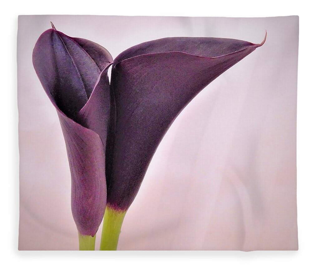 - Calla Lilies Fleece Blanket featuring the photograph - Calla Lilies by THERESA Nye