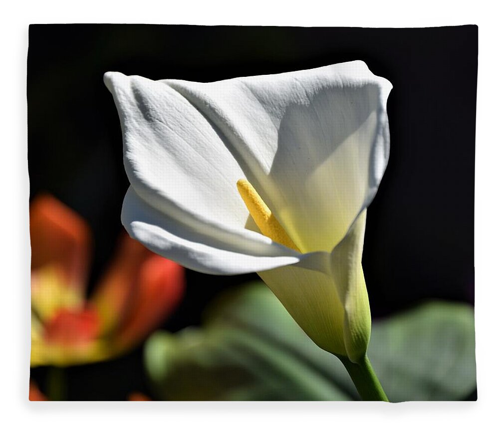 Calla Lily Fleece Blanket featuring the photograph Calla Lily by Terry M Olson