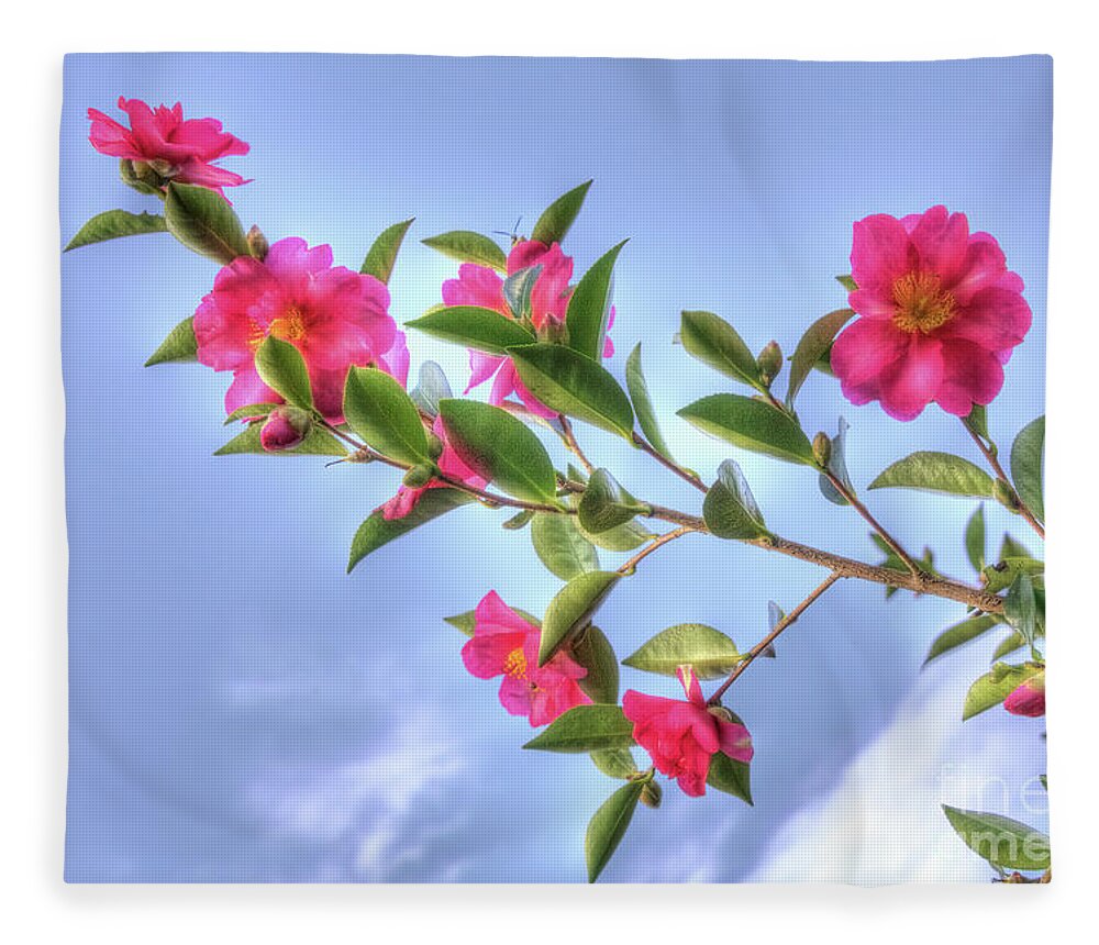 Flowers Fleece Blanket featuring the photograph Camellia Sasanqua by Elaine Teague
