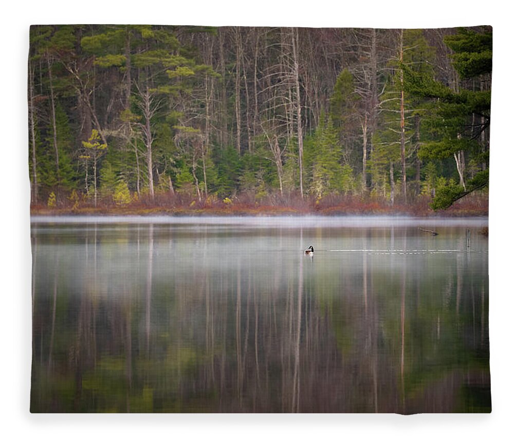Nature Fleece Blanket featuring the photograph Canada Goose on a Misty Swift River Morning by William Dickman