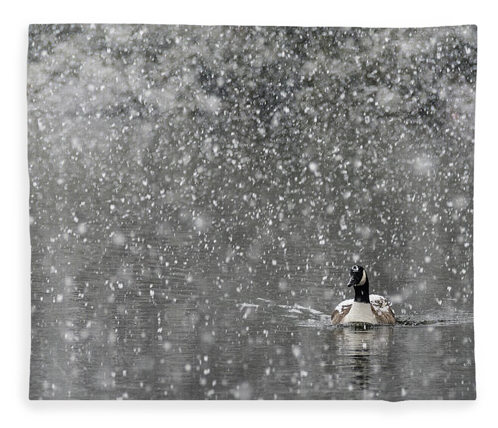 North America Fleece Blanket featuring the photograph Canadian Goose in Snow 1 by Melissa Southern