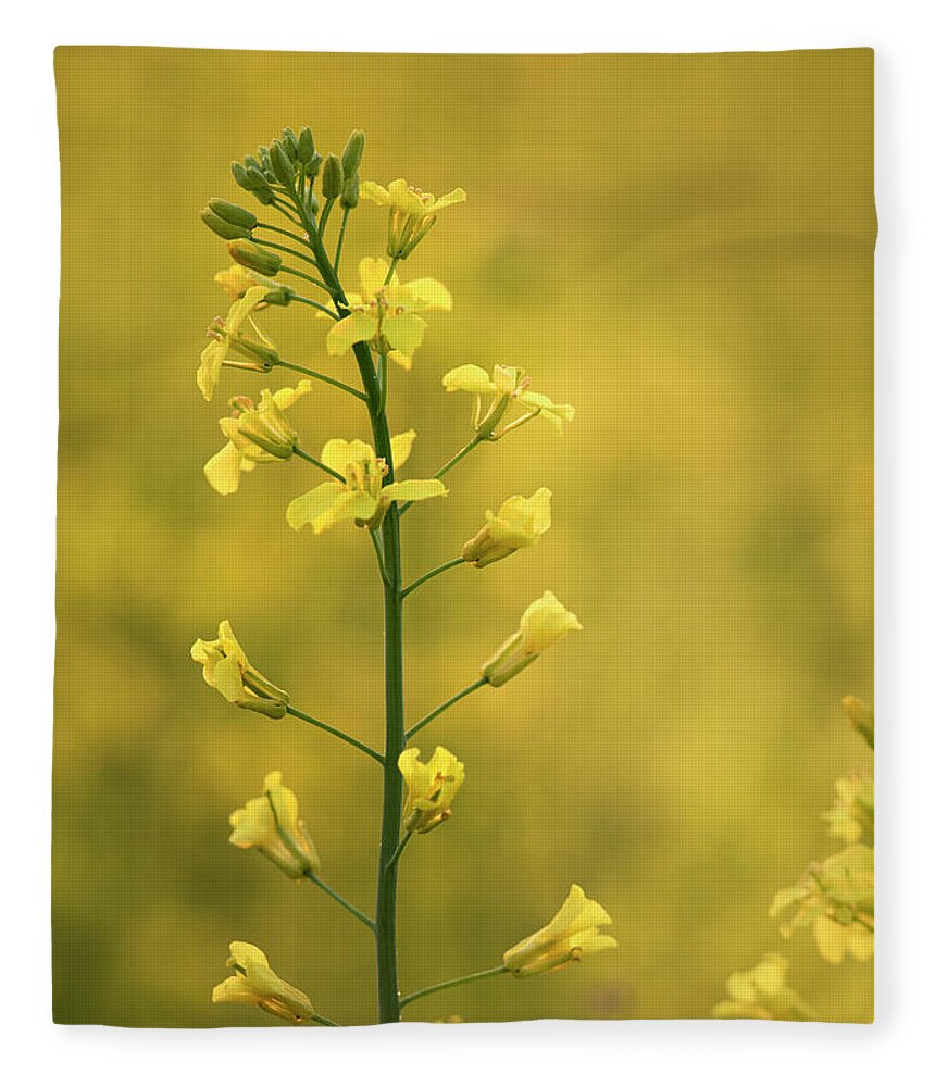 Canola Fleece Blanket featuring the photograph Canola Flowers by Phil And Karen Rispin