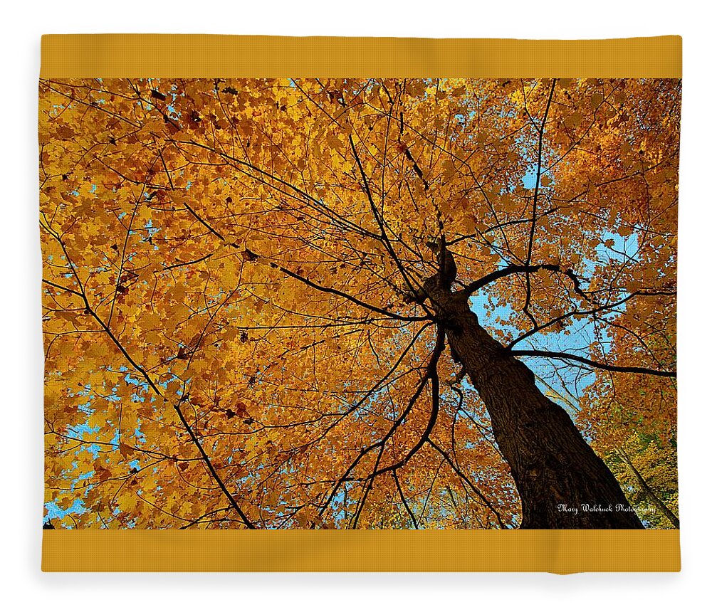 Autumn Leaves Fleece Blanket featuring the photograph Canopy of Color by Mary Walchuck