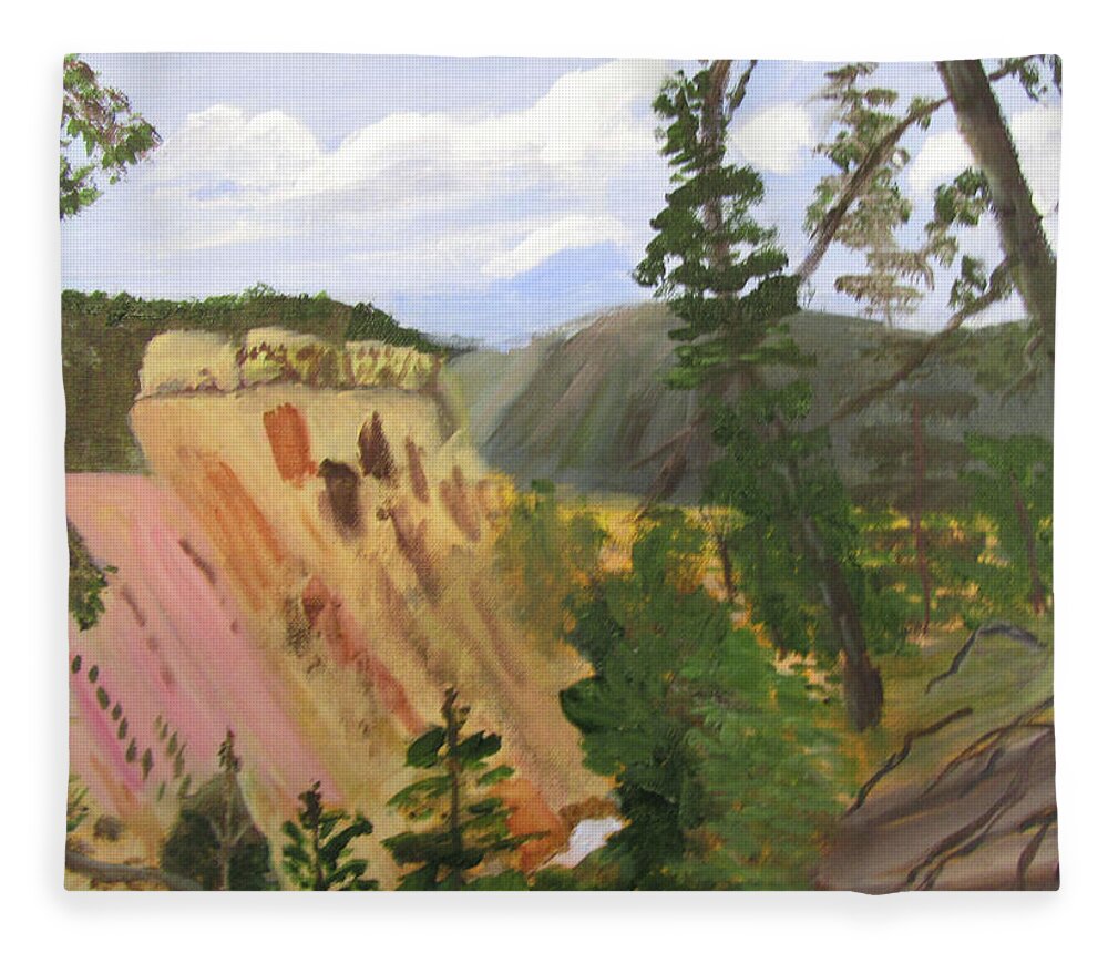 Yellowstone Fleece Blanket featuring the painting Canyon Colors2 by Linda Feinberg