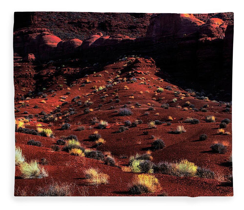 Watercolor Fleece Blanket featuring the photograph Canyonland Grasses at Dusk by Wayne King